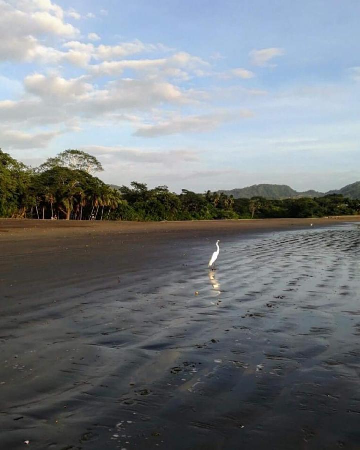 Villas Guanacaste Potrero  Eksteriør billede